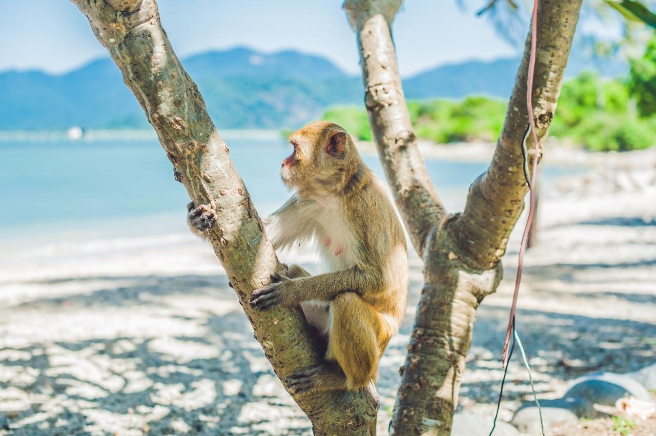 shutterstock-573753865-9585-1594206896.j