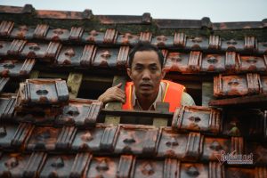 Chúng tôi cập nhật **Thông tin đường đi Vũng Tàu** và TP.HCM từ Đắk Lắk/Gia Lai. Đảm bảo lộ trình xe riêng an toàn, tránh lũ lụt và sạt lở Tây Nguyên.